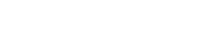 2 The Experience